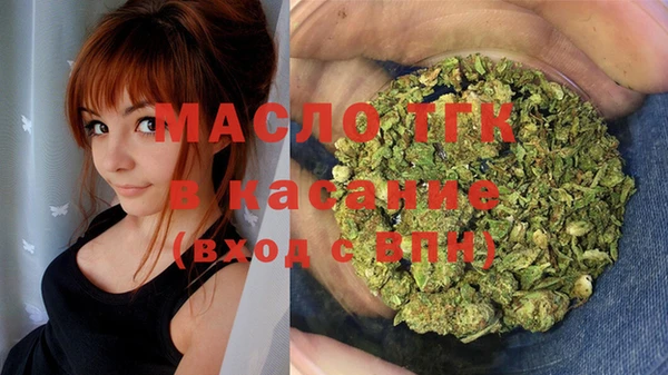 сатива Куйбышев