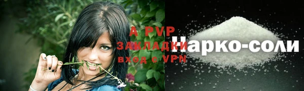 сатива Куйбышев