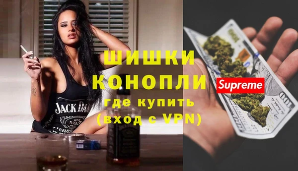 сатива Куйбышев