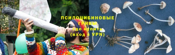 сатива Куйбышев