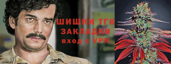 стафф Дмитровск