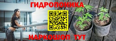 jwh Будённовск