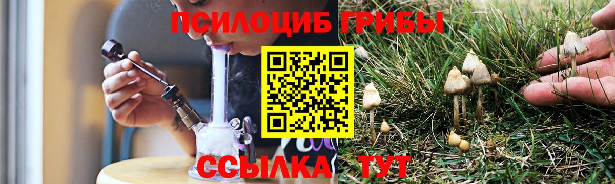 Псилоцибиновые грибы мицелий  Вход с VPN  где найти   Елабуга 